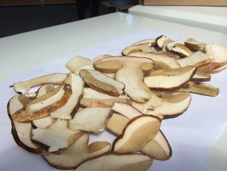 Resepti keitto valmistettu kuivatut sienet ja niiden hyödyllisiä ominaisuuksia