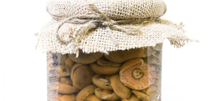 Rozhiki talvella - reseptejä jäädyttämiseen, peittaukseen Rozhiki talvella - reseptejä jäädyttämiseen, peittaukseen