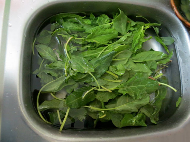 Kuinka rullata sorrelia talvella ilman suolaa Kuinka rullata sorrelia talvella ilman suolaa