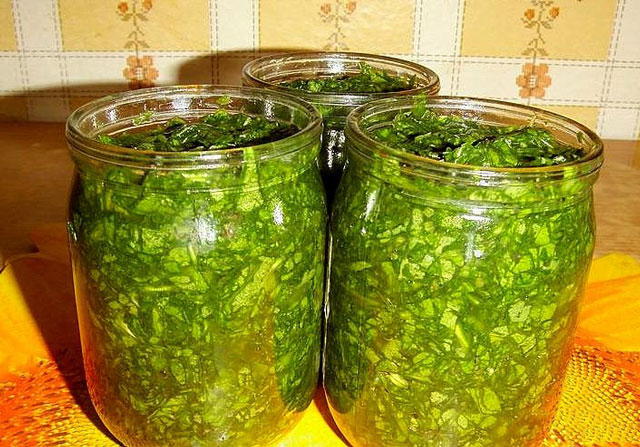 Miten rullata sorrel talvella suolaa Miten rullata sorrel talvella suolaa