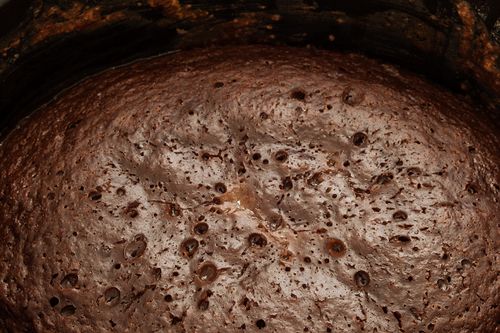 Suklaakokakku multivarquet - nopea resepti valokuva
