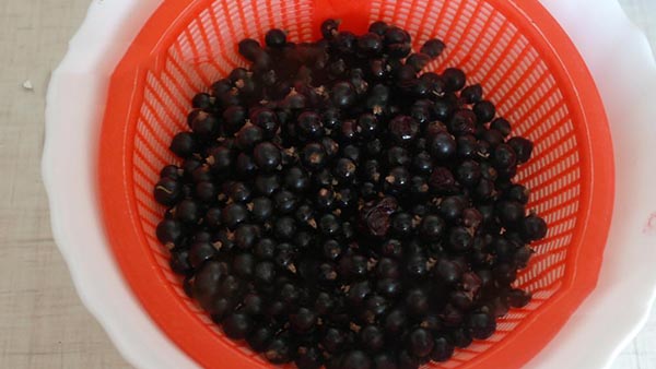 Sokerin sokeria talvella ilman kypsentämistä, Pyatiminutka, jäädytetty. Currant-resepti, raastettu sokerilla talvella (ilman jääkaapelia)