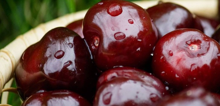 Kirsikka talvella - reseptejä - hilloa siemeniä ja kalkittu, viiden minuutin, hilloa, hyytelöä ilman gelatiinia, kirsikompotia