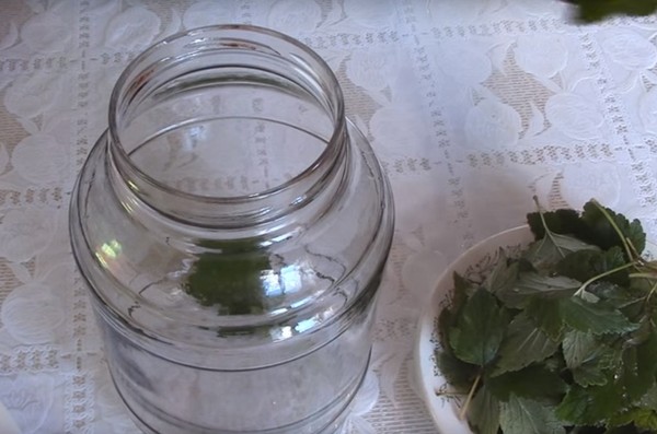 Omenat talvella pankeissa - aihioita ja reseptejä - liottaa ja kiiloja, kompoteja, hilloa, pie billet. Kuinka pitää omenat talvella kotona