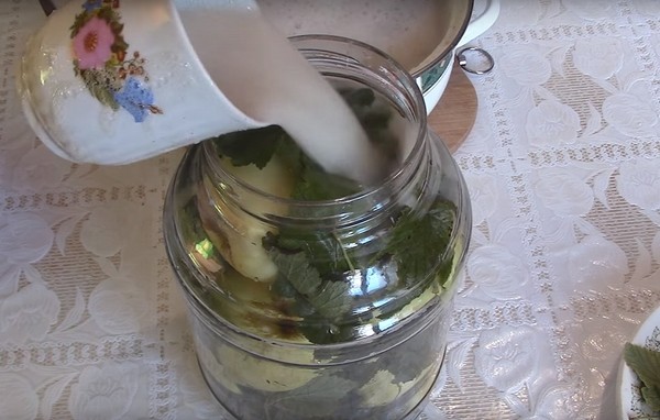 Omenat talvella pankeissa - aihioita ja reseptejä - liottaa ja kiiloja, kompoteja, hilloa, pie billet. Kuinka pitää omenat talvella kotona