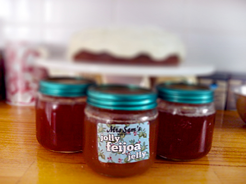 Joulu feijoasta talvella, resepti, jossa on valokuva