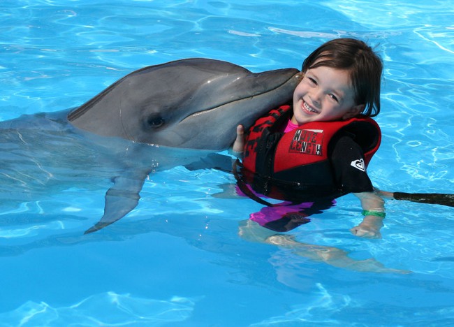 Dolphinterapia: uiminen delfiinien kanssa