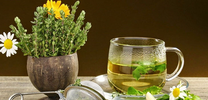 Phytoalchemia: yrttejä kauneutta ja terveyttä