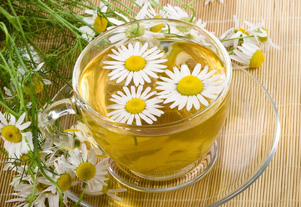 Phytoalchemia: yrttejä kauneutta ja terveyttä