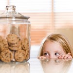 Hypoallergeeninen ruokavalio Hypoallergeeninen ruokavalio
