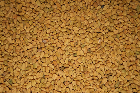 Fenugreek - mitä se on? Hyönteiset ominaisuudet fenugreek (valokuva)