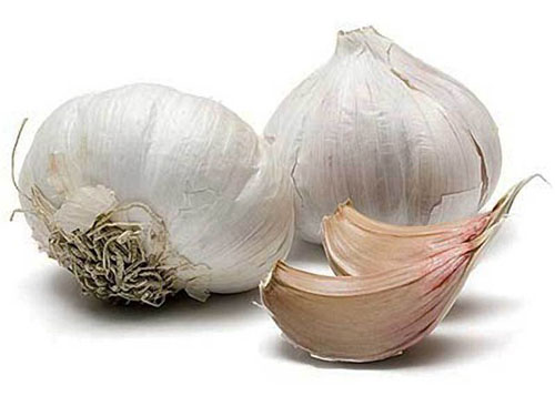 Vasodilatorin varat