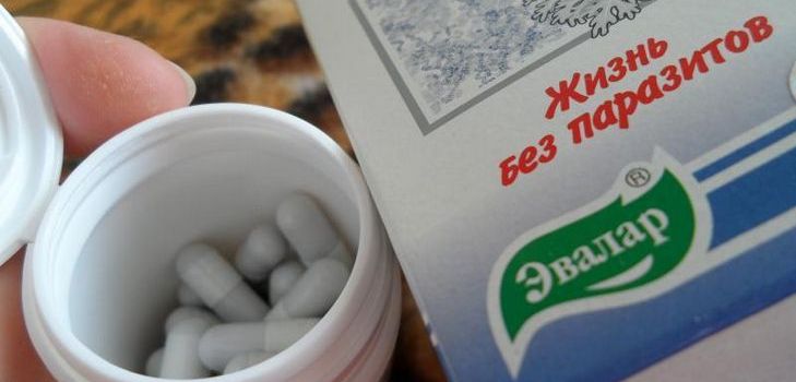 Parasarjasyövä lääke on Troychchatka Evalar. Koostumus. Ohjeet. Arviot